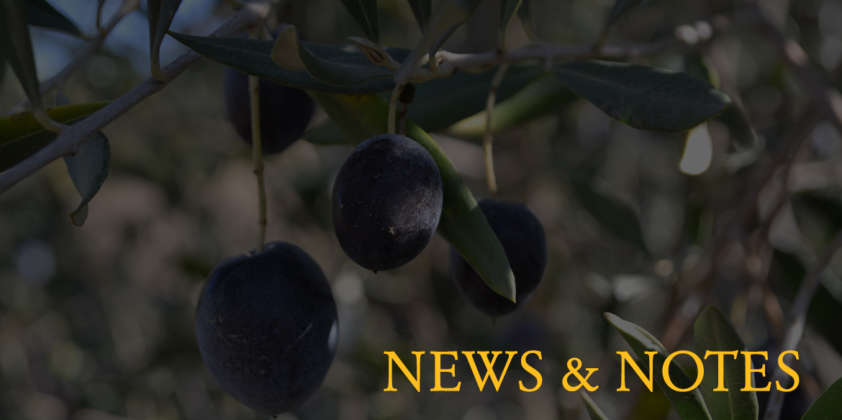 TFO News – Fall 2013