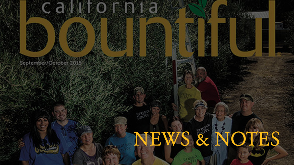 California Bountiful Magazine