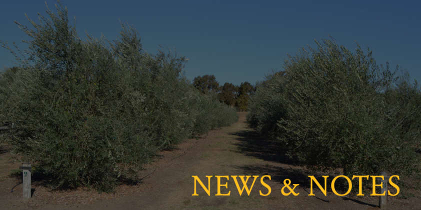 Celebration of Harvest 2016