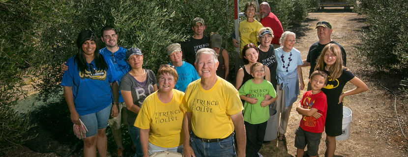 The French Olive Family